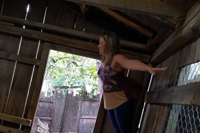 Cosmos Mystery Area Admission - What to Expect on Your Visit