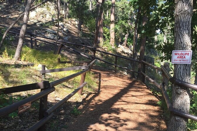 Cosmos Mystery Area Admission - Who Will Love It?