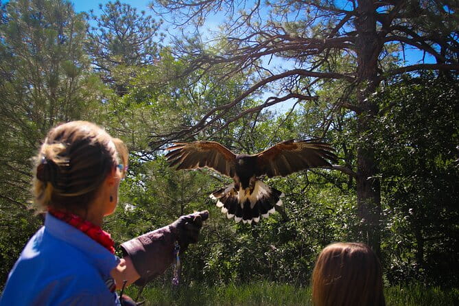 Colorado Springs Hands-On Falconry Class and Demonstration - Final Thoughts