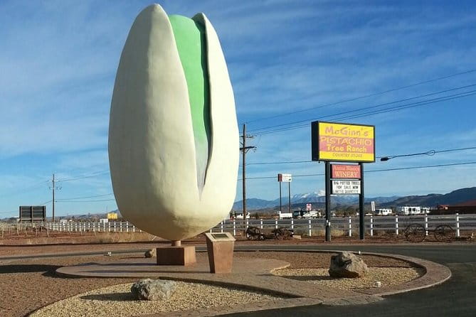 PistachioLand Farm Tour - An In-Depth Look at the PistachioLand Farm Tour