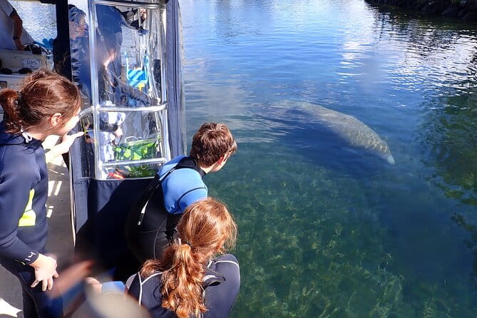 Most Popular 3hr Manatee Swim Tour + In-Water Guide! - Final Thoughts