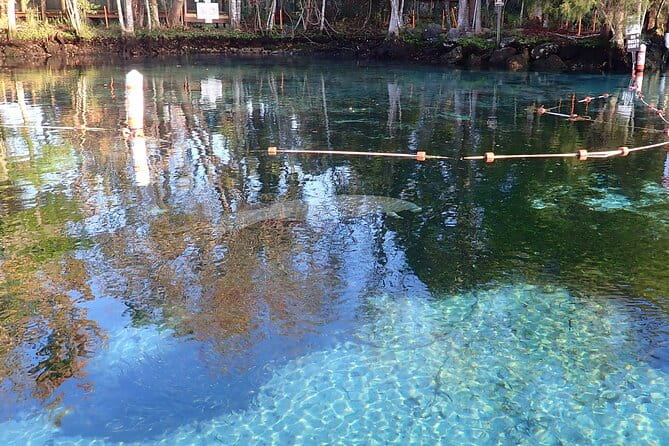 Crystal River Manatee Viewing Cruise - The Sum Up: Who Will Love This Tour?