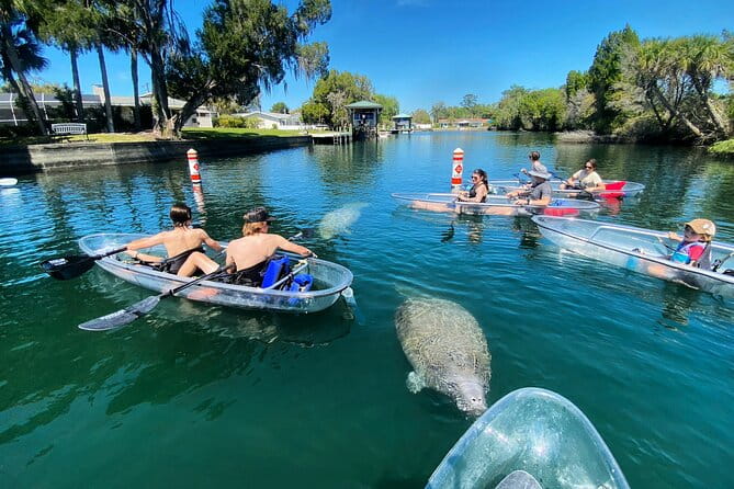 Clear Kayak Tour of Crystal River - Final Thoughts