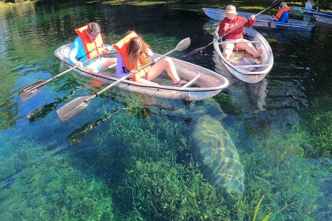 Clear Kayak Manatee Ecotour of Crystal River - Final Thoughts