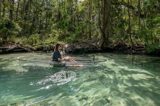 Explore The Chaz: Exclusive Clear Kayak Tours Near Crystal River - Authentic Experiences and Honest Feedback