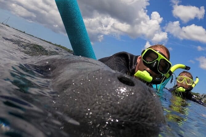 Small Group Manatee Snorkel Tour with In-Water Guide and Photographer - The Experience: What Youll Actually Do