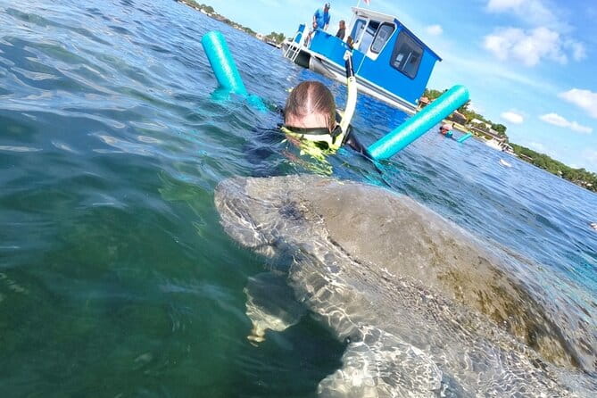 Small Group Manatee Snorkel Tour with In-Water Guide and Photographer - Who It’s Best For