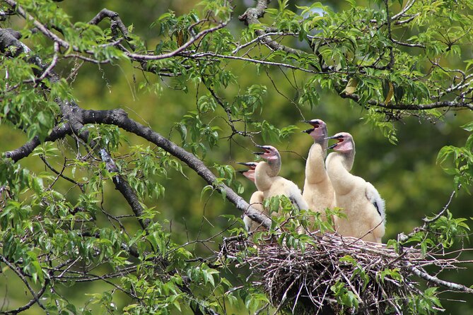See Crystal River - National Wildlife Refuge Sightseeing Cruise - The Value Proposition