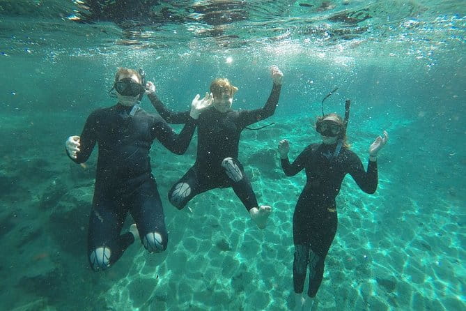 Guided Small Group Manatee Snorkeling Tour with In-Water Photographer - Final Thoughts