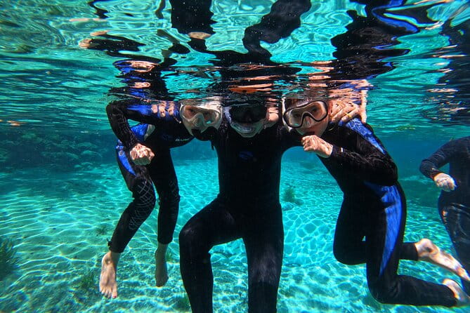 3 hours Manatee Swim Tour in Florida - Frequently Asked Questions