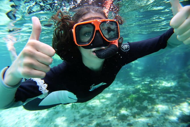 Exclusive Small Group VIP Heated Manatee Snorkel Tour - Final Thoughts