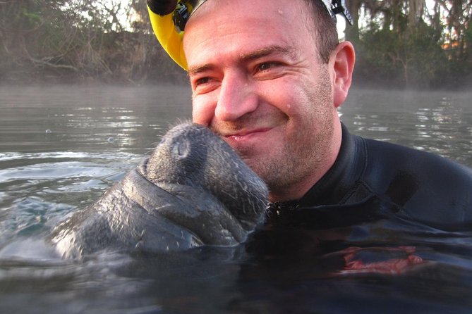 Private 'OG' Manatee Snorkel Tour with Guide for up to 10 people - The Sum Up