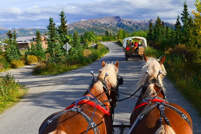 Horse-Drawn Covered Wagon Ride with Backcountry Dining - Who Will Appreciate This Tour?