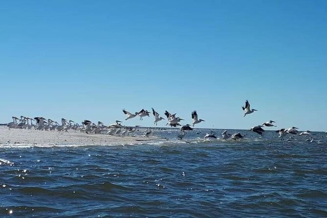 Small Group Motorboat Eco Tour of the Everglades - Final Thoughts