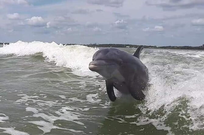 Small Group Motorboat Eco Tour of the Everglades - Practical Details and Value