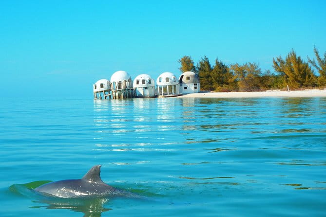 Avi's Premium Dolphin Tour by Jet Ski - The Wildlife and the Guides