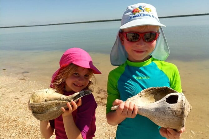 2 Hour Dolphin, Birding and Shelling Tour - Itinerary Breakdown and What to Expect