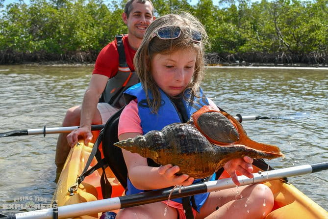 Mangrove Tunnels & Mudflats Kayak Tour - Local Biologist Guides - Who Will Love This Tour?