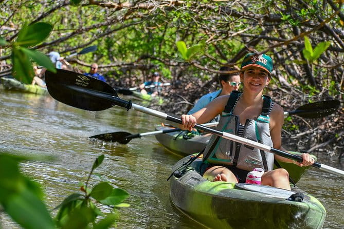 Mangrove Tunnels & Mudflats Kayak Tour - Local Biologist Guides - The Sum Up: Why This Tour Offers Great Value