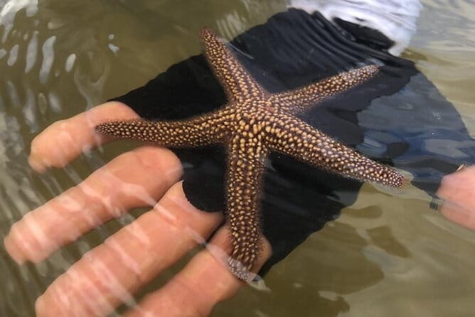 Kayak Tour Adventure Marco Island and Naples Florida - FAQ