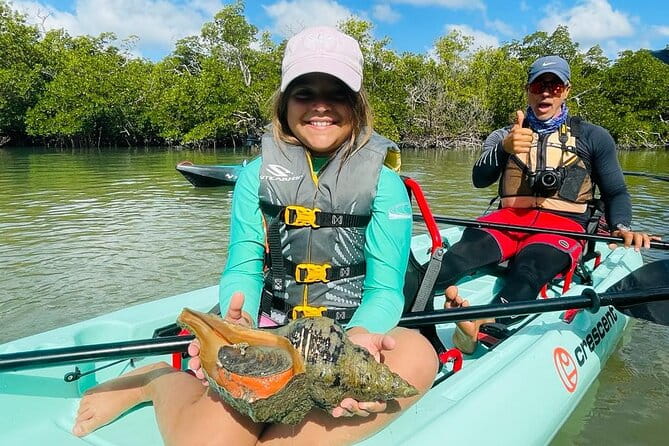 Kayak Tour Adventure Marco Island and Naples Florida - The Sum Up