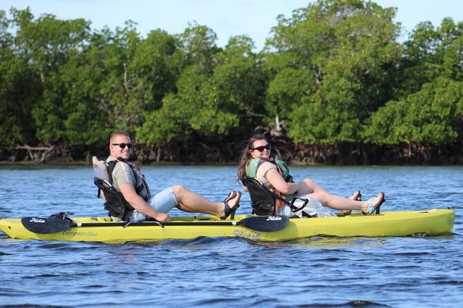Kayak Tour Adventure Marco Island and Naples Florida - Who Should Consider This Tour?