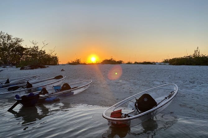 Clear Kayak Guided Eco Tour in North Naples - An Introduction to Naples’ Coastal Charms
