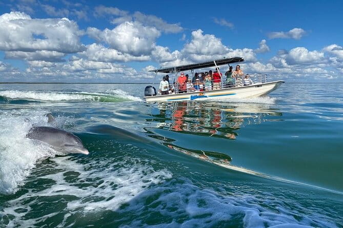 Marco Island Dolphin Sightseeing Tour - Who Will Love It?