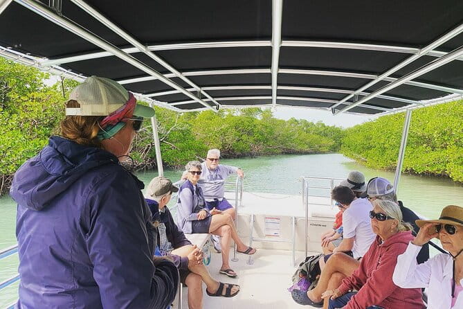 Marco Island Dolphin Sightseeing Tour - Who Is This Tour Best For?