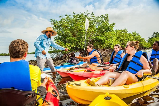 Guided Kayak Mangrove Ecotour in Rookery Bay Reserve, Naples - FAQ