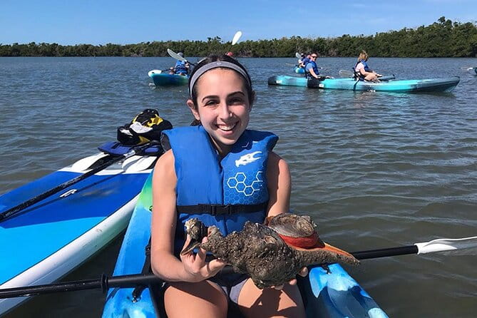 Guided Kayak Mangrove Ecotour in Rookery Bay Reserve, Naples - Who Should Consider This Tour?
