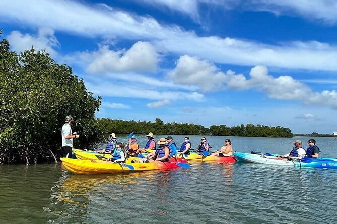 Guided Kayak Mangrove Ecotour in Rookery Bay Reserve, Naples - The Experience’s Pros and Cons