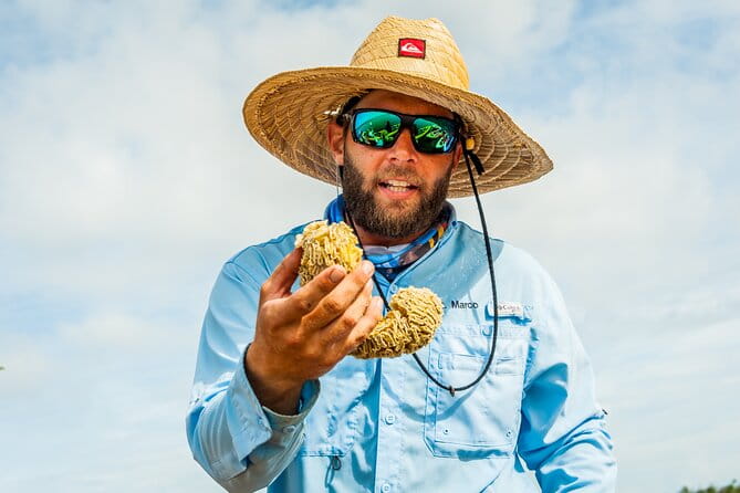 Guided Kayak Mangrove Ecotour in Rookery Bay Reserve, Naples - The Sum Up