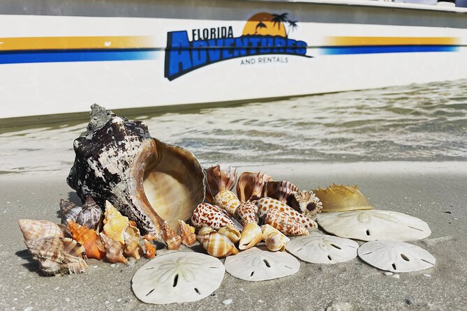Marco Island Wildlife Sightseeing and Shelling Tour - Why This Tour Excels
