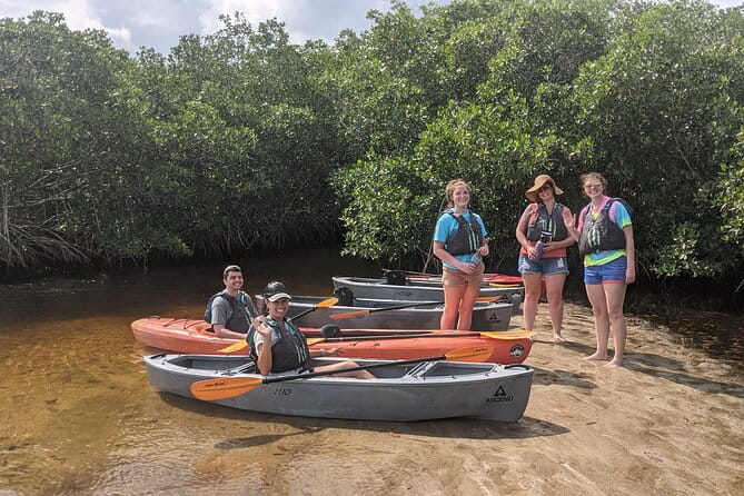 Manatees and Mangrove Tunnels Small Group Kayak Tour - Summing It Up: Is It Worth It?