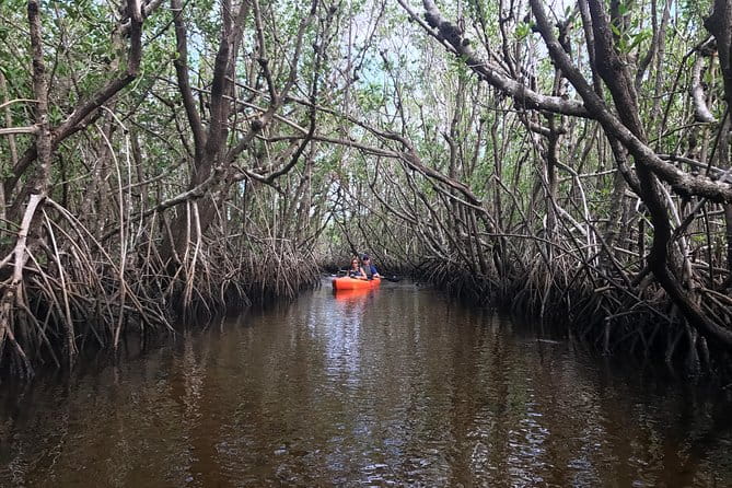 Manatees and Mangrove Tunnels Small Group Kayak Tour - Cancellation Policy and Booking Tips