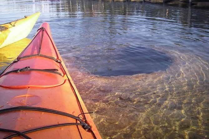 Kayak Day Paddle on Yellowstone Lake - Who Should Book This Tour?