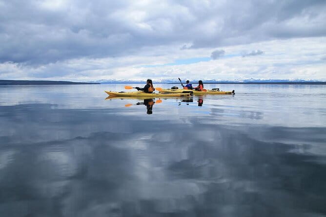 Kayak Day Paddle on Yellowstone Lake - The Experience’s Strengths and Possible Drawbacks