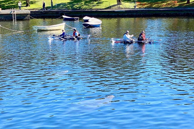Clear Kayak Tour of Tarpon Springs | Manatee Season - Who Should Consider This Tour?
