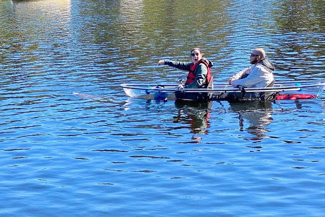 Clear Kayak Tour of Tarpon Springs | Manatee Season - FAQ