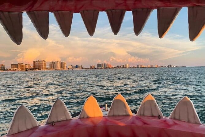 Mega Bite Dolphin Tour Boat in Clearwater Beach - Analyzing the Value and Practicalities