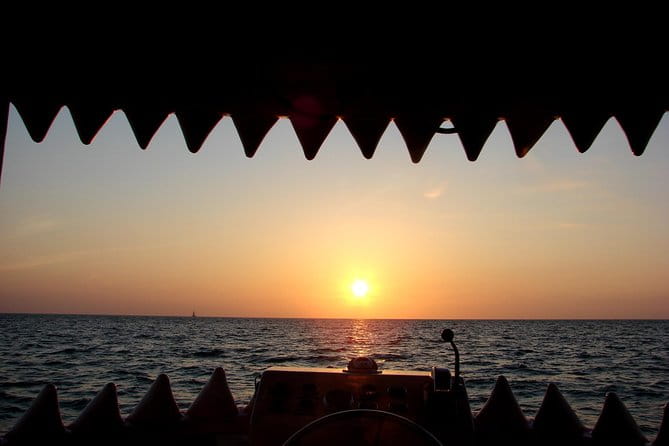 Mega Bite Dolphin Tour Boat in Clearwater Beach - Who Should Book This Tour?