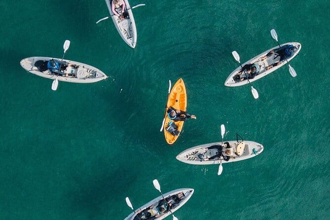 Original La Jolla Sea Cave Kayak Tour for Two - Final Thoughts