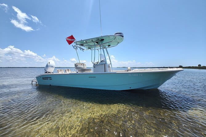 Two Hour Private Sightseeing/Dolphin Tour in Panama City Beach - Why This Tour Is Worth Considering