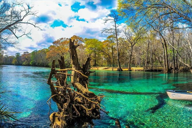 Cypress Springs Eco Adventure - The Value of This Experience