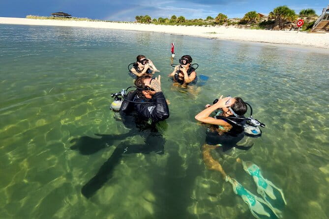 Panama City Scuba Diving Activity for Beginners - What You Can Expect During the Experience