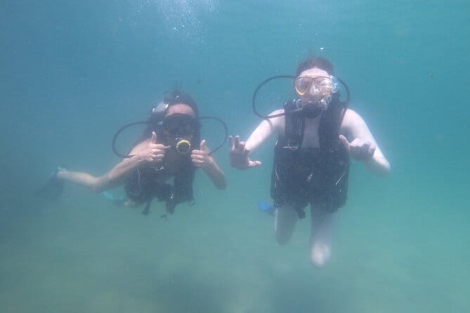 Panama City Scuba Diving Activity for Beginners - The Value of Photos and Videos