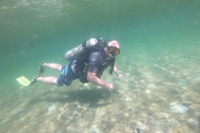 Panama City Scuba Diving Activity for Beginners - Pricing and Comparing Value