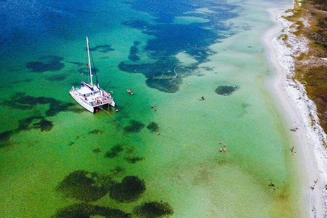 Shell Island Snorkel and Dolphin Catamaran Cruise with Island Time - A Smooth Sailing Experience in Panama City Beach