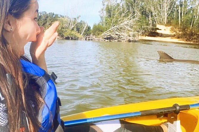Dolphin & Manatee Kayaking Tour in Orlando Area - Exploring the Dolphin & Manatee Kayaking Tour in Orlando Area